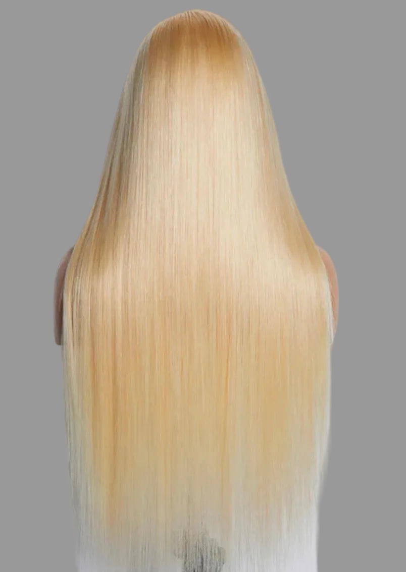 613 Straight 13*6 Wig